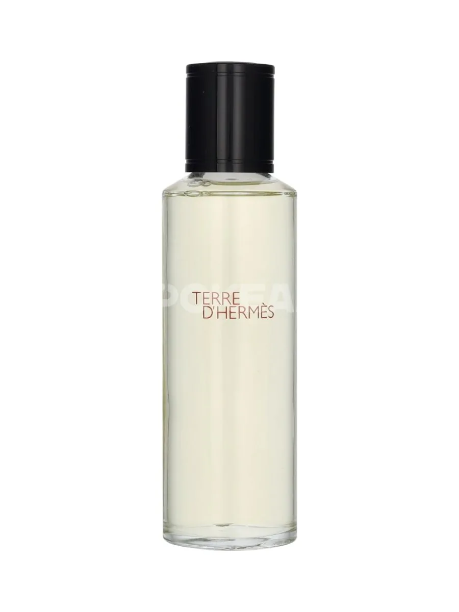 Hermes Terre D'Hermes Edt Spray Refill 125ml 2