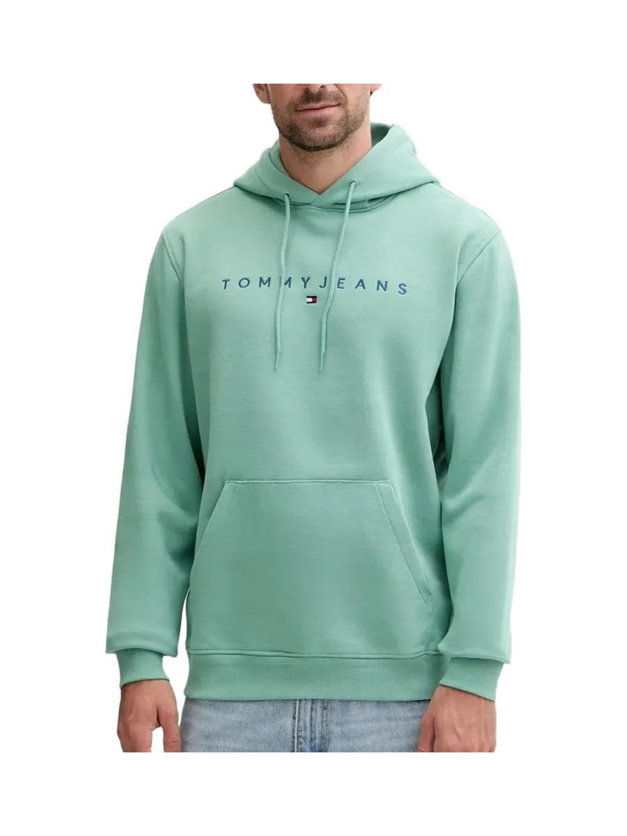 Sweat Vert Homme Tommy Hilfiger Linear 2