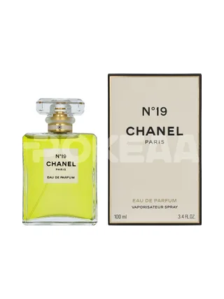 Chanel No 19 Edp Spray 100ml 1