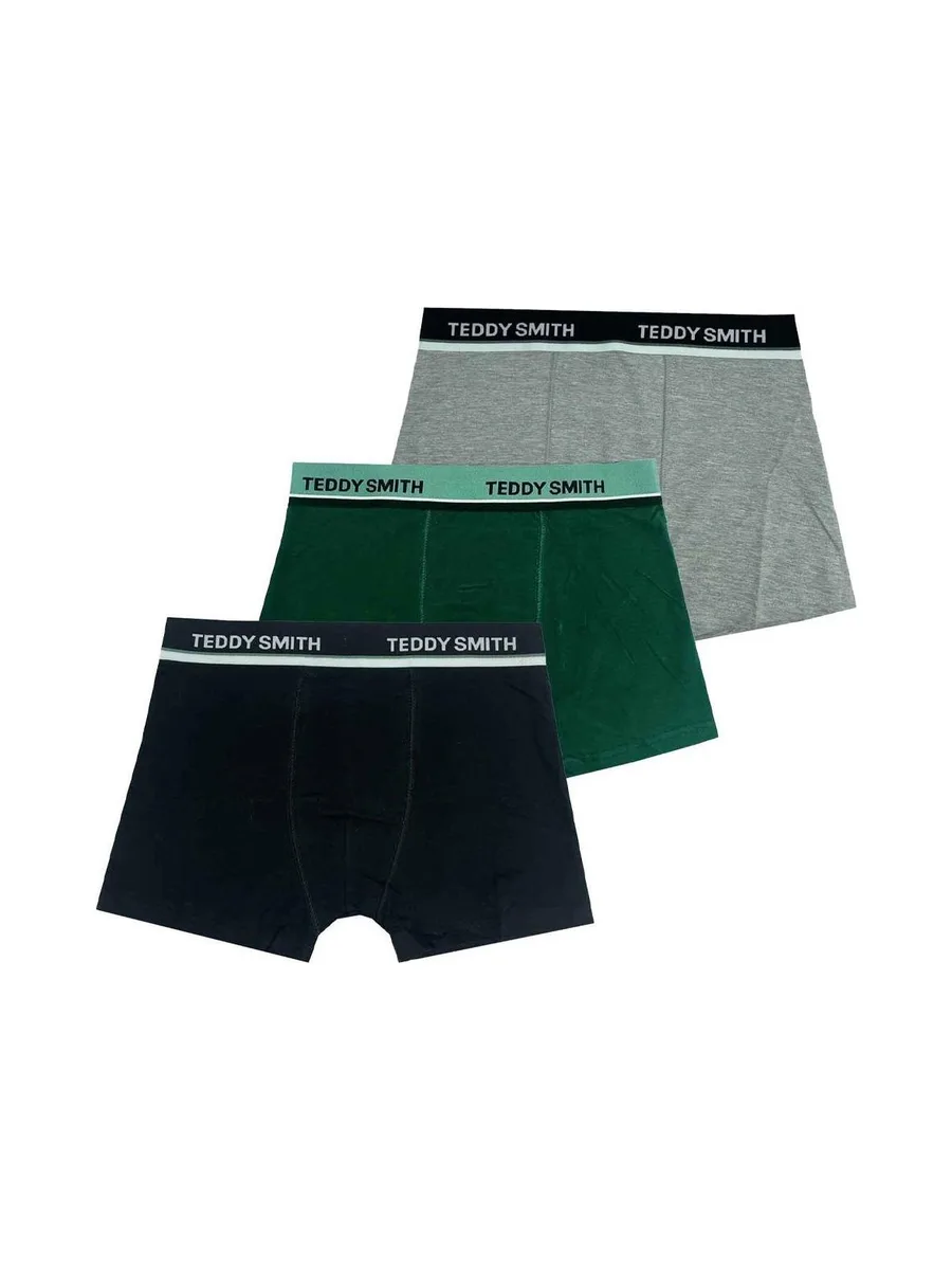 Lot de 3 Boxers Noir/Vert/Gris Homme Teddy Smith 1TS/52/9 1