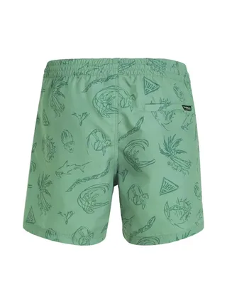 Maillot de bain Vert Homme O'Neill Cali 2