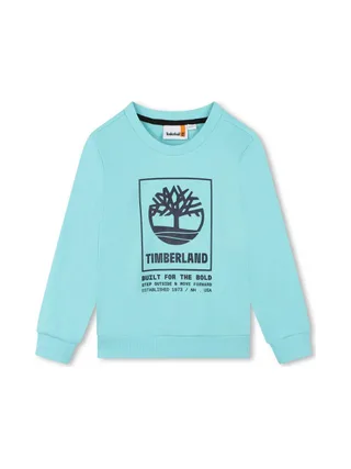 Sweat Bleu Garçon Timberland T60075 1