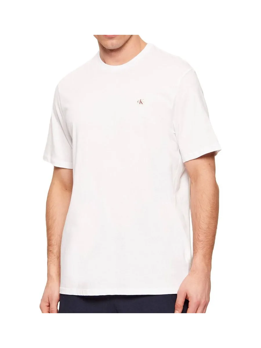 Lot de 2 T-shirts Blanc/Bleu Homme Calvin Klein Jeans Ss Badge 2