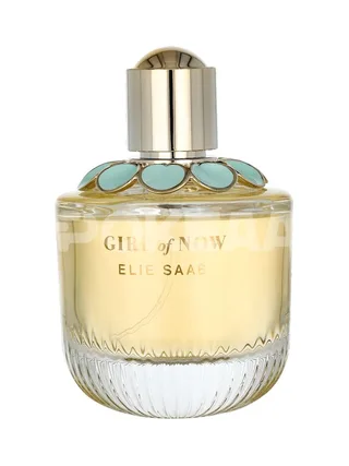 Elie Saab Girl Of Now Edp Spray 90ml 2