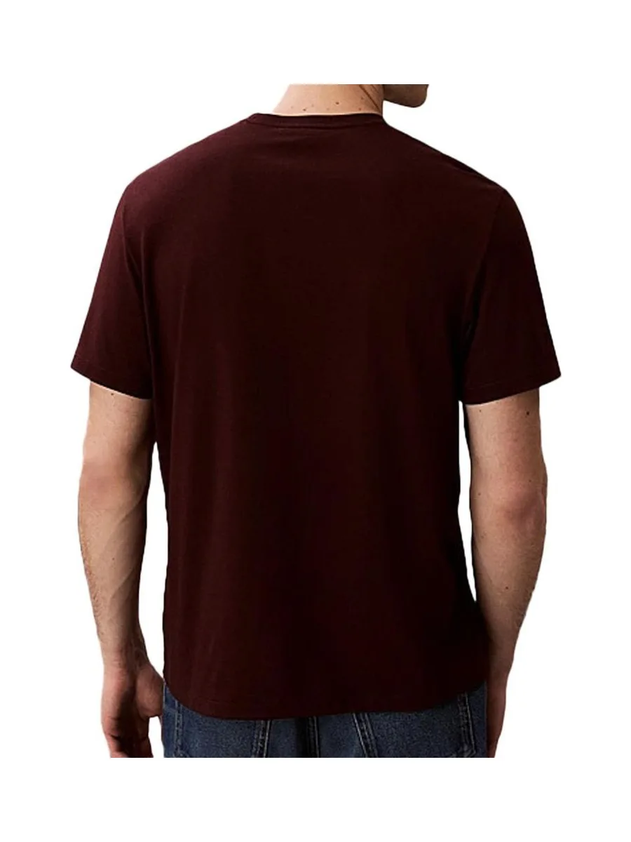 T-Shirt Marron Homme Calvin Klein Jeans Easy LV04RC275G 3