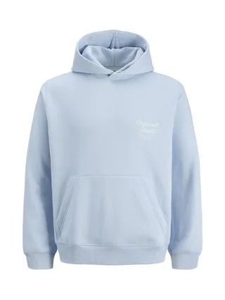 Sweat à Capuche Bleu Homme Jack & Jones Typo 1