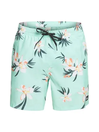 Short de bain Turquoise Homme Quiksilver Mix 177 2