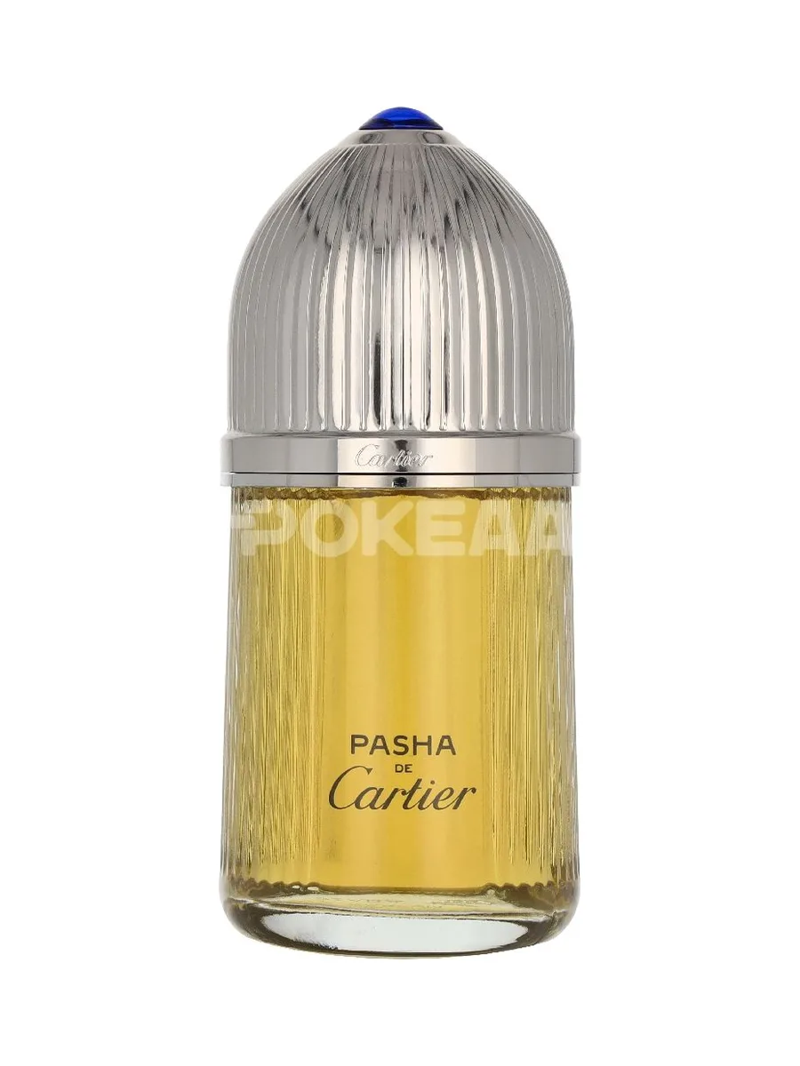 Cartier Pasha Edp Spray 100ml 2