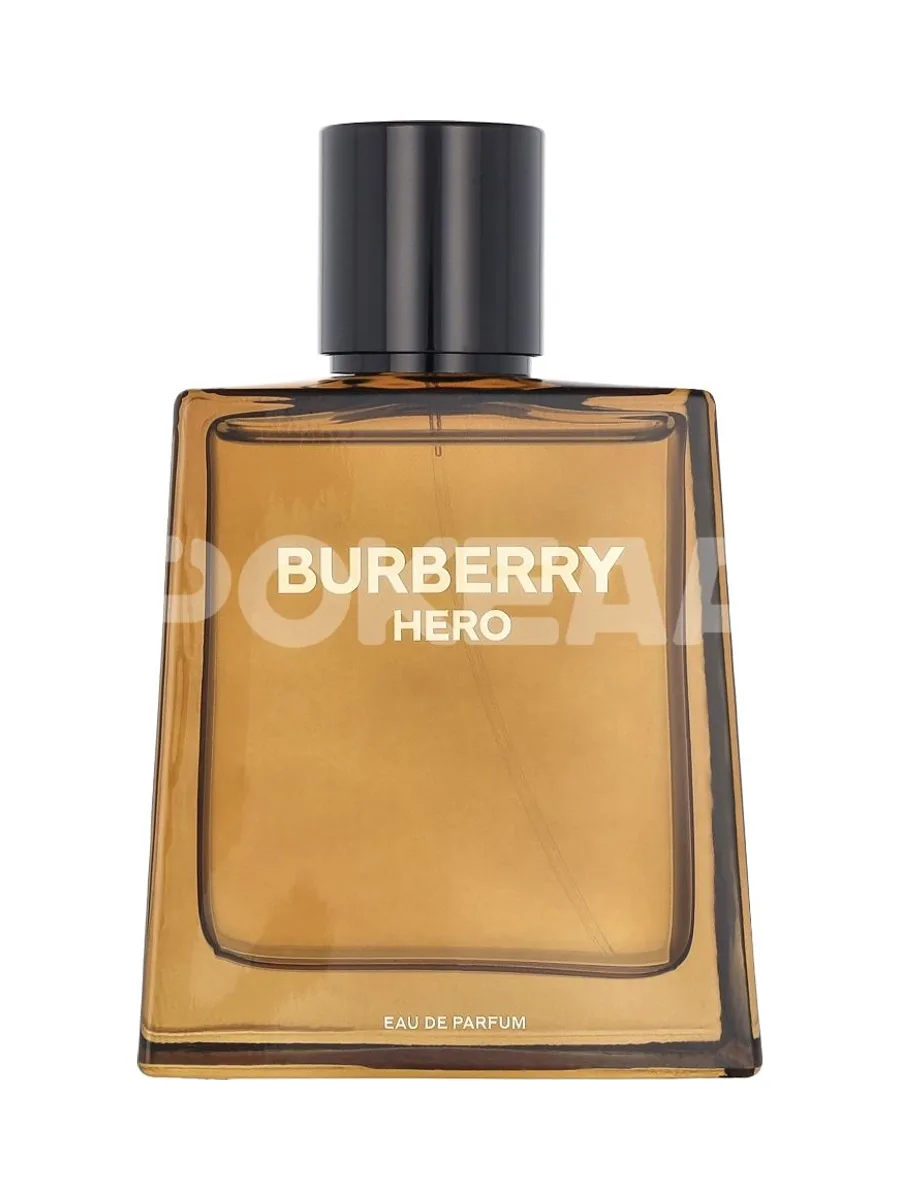 Burberry Hero Edp Spray 100ml 2