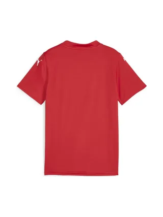 Maillot de football Rouge Garçon Puma Teamglory Jersey Jr 2