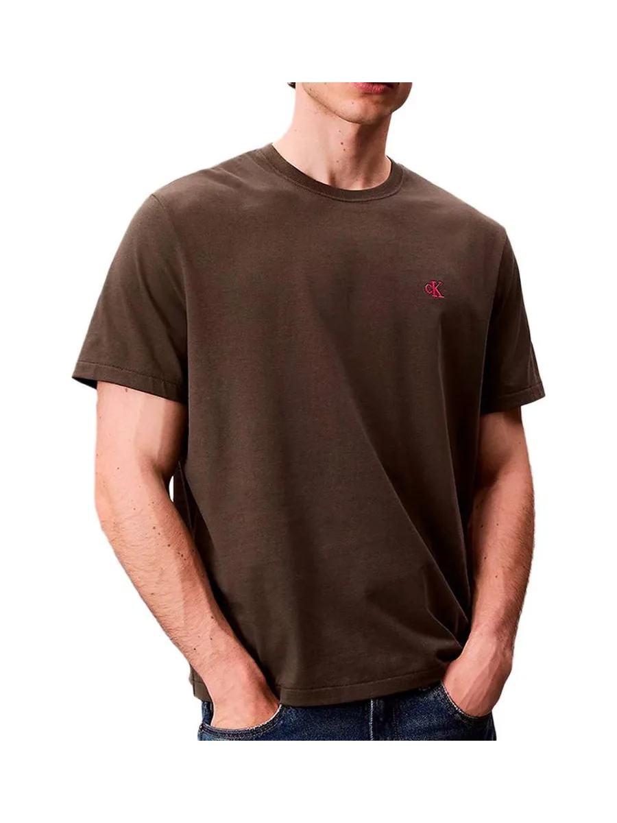 T-Shirt Marron Homme Calvin Klein Jeans Easy 2