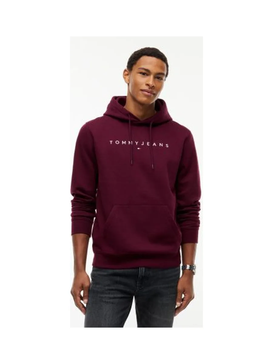 Sweat-shirt TOMMY HILFIGER DM0DM20746 7