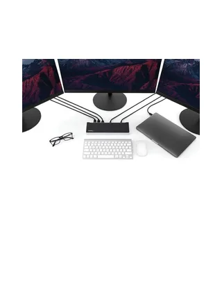 StarTech.com DK30CH2DPPDU laptop dock/port replicator 4
