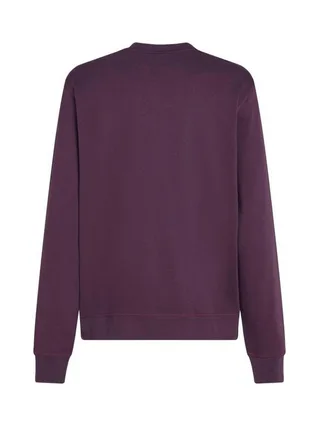 Sweat Prune Homme O'Neill Small 2