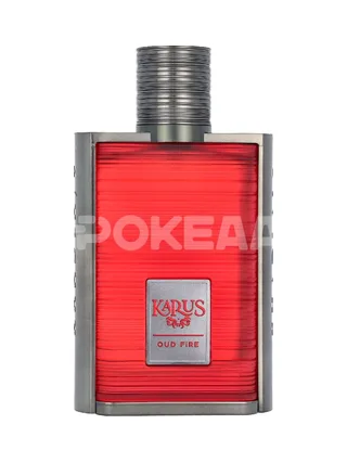Khadlaj Karus Oud Fire Edp Spray 100ml 2