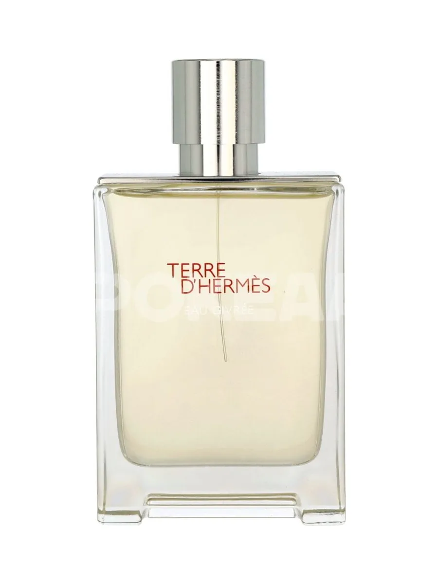 Hermes Terre D'Hermes Eau Givree Edp Spray 100ml - Refillable 2