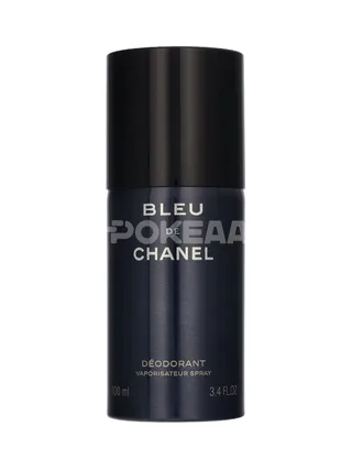 Chanel Bleu De Chanel Pour Homme Deo Spray 100ml 2