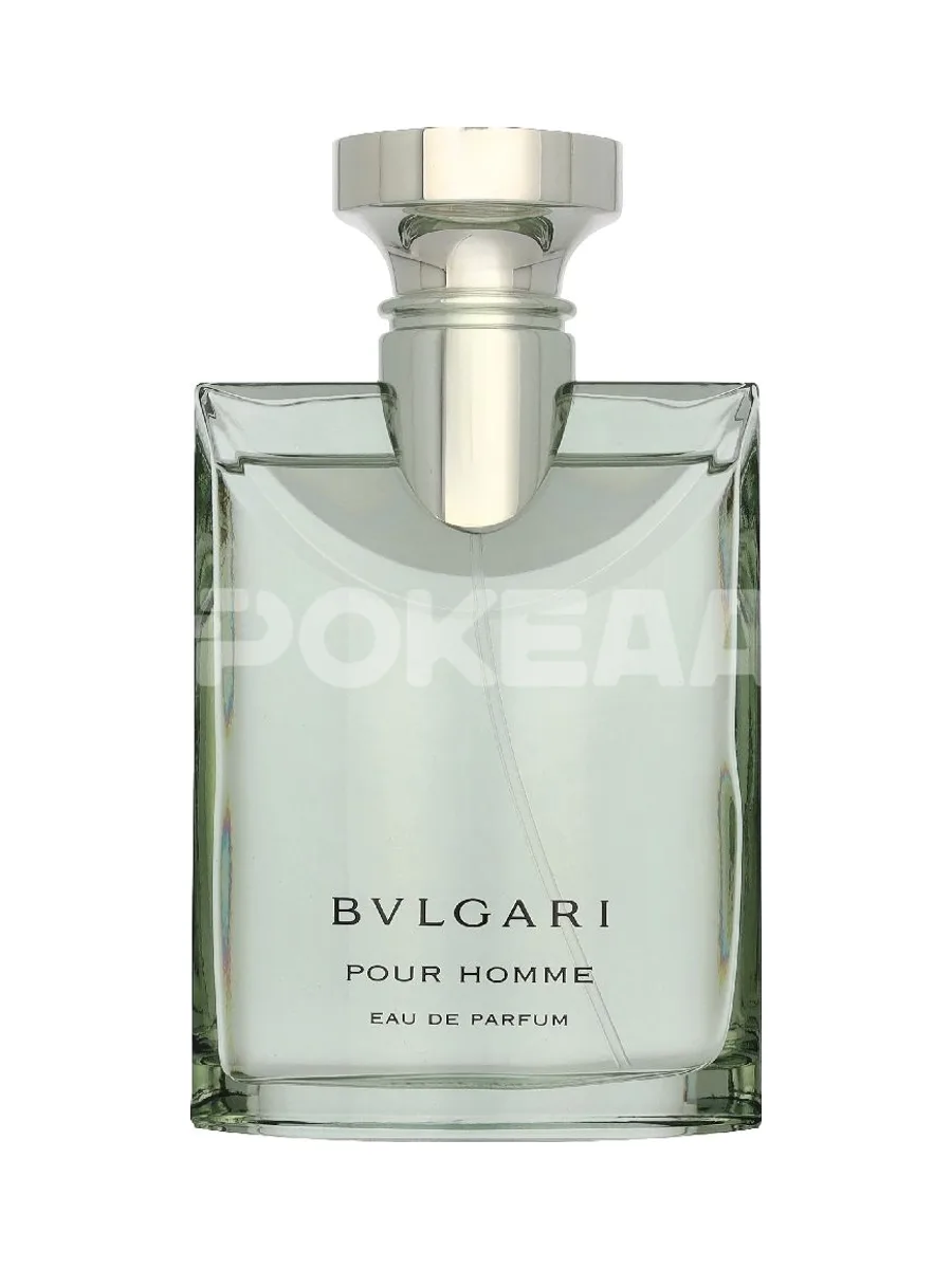 Bvlgari Pour Homme Edp Spray 100ml 2