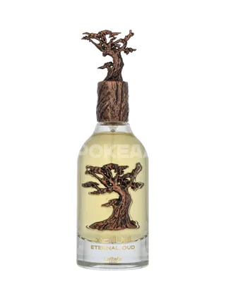 Lattafa Pride Eternal Oud Edp Spray 100ml 2