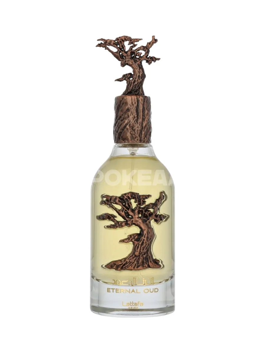 Lattafa Pride Eternal Oud Edp Spray 100ml 2