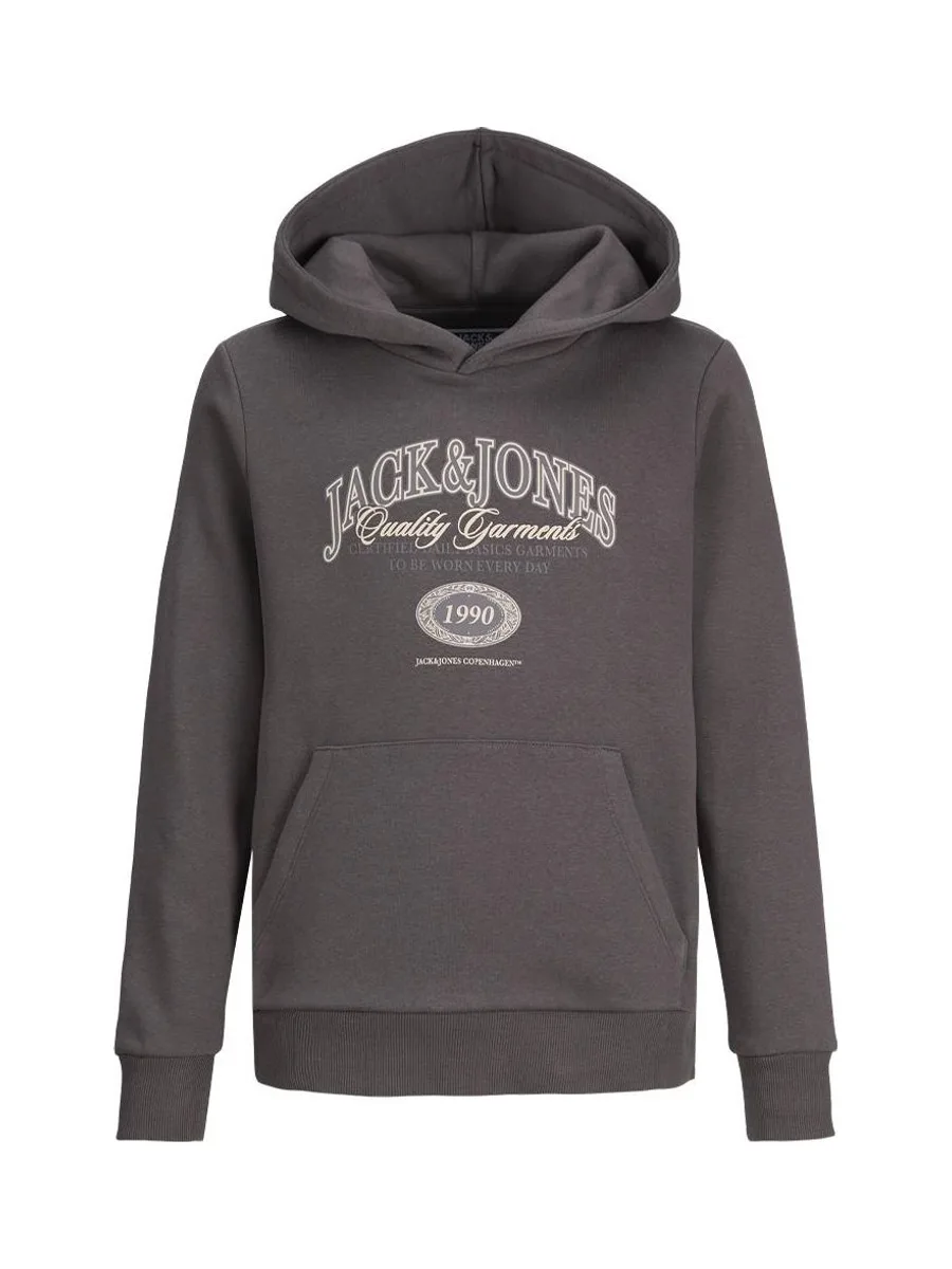 Sweat Gris Garçon Jack & Jones Ari 2