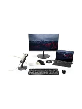 StarTech.com ICUSB2324I interface hub 4