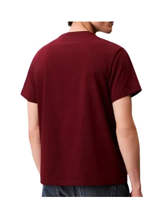 T-Shirt Rouge Homme Calvin Klein Jeans Easy LV04RC275G 2