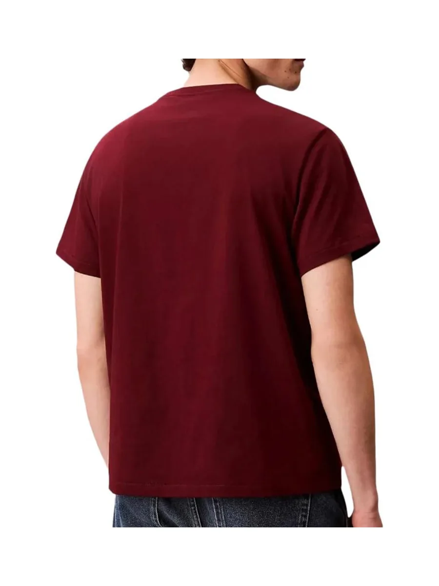 T-Shirt Rouge Homme Calvin Klein Jeans Easy LV04RC275G 3