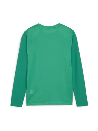 T-Shirt Vert Homme Puma Teamgoal 2