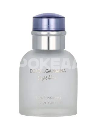 Dolce & Gabbana Light Blue Pour Homme Edt Spray 40ml 2