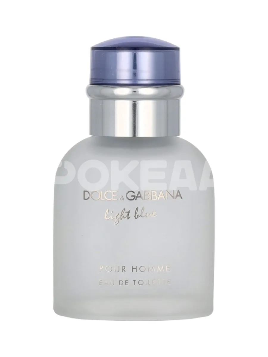Dolce & Gabbana Light Blue Pour Homme Edt Spray 40ml 2