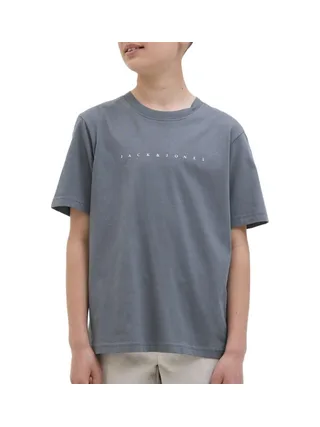 T-shirt Gris Garçon Jack & Jones Jestar 1