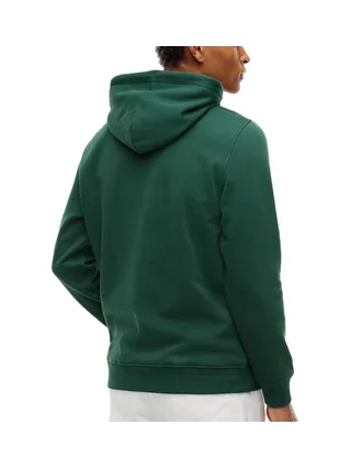 Sweat Vert Forêt Homme Tommy Hilfiger Washed DM0DM20746 2