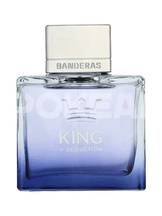 A. Banderas King Of Seduction Edt Spray 100ml 2
