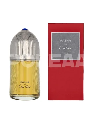 Cartier Pasha Edp Spray 100ml 1