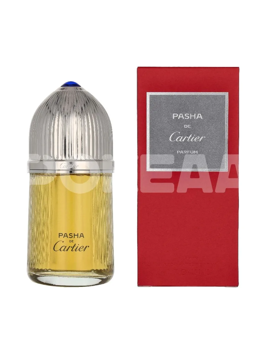 Cartier Pasha Edp Spray 100ml 1