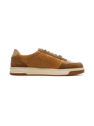 Baskets Camel Homme TBS Theo 2