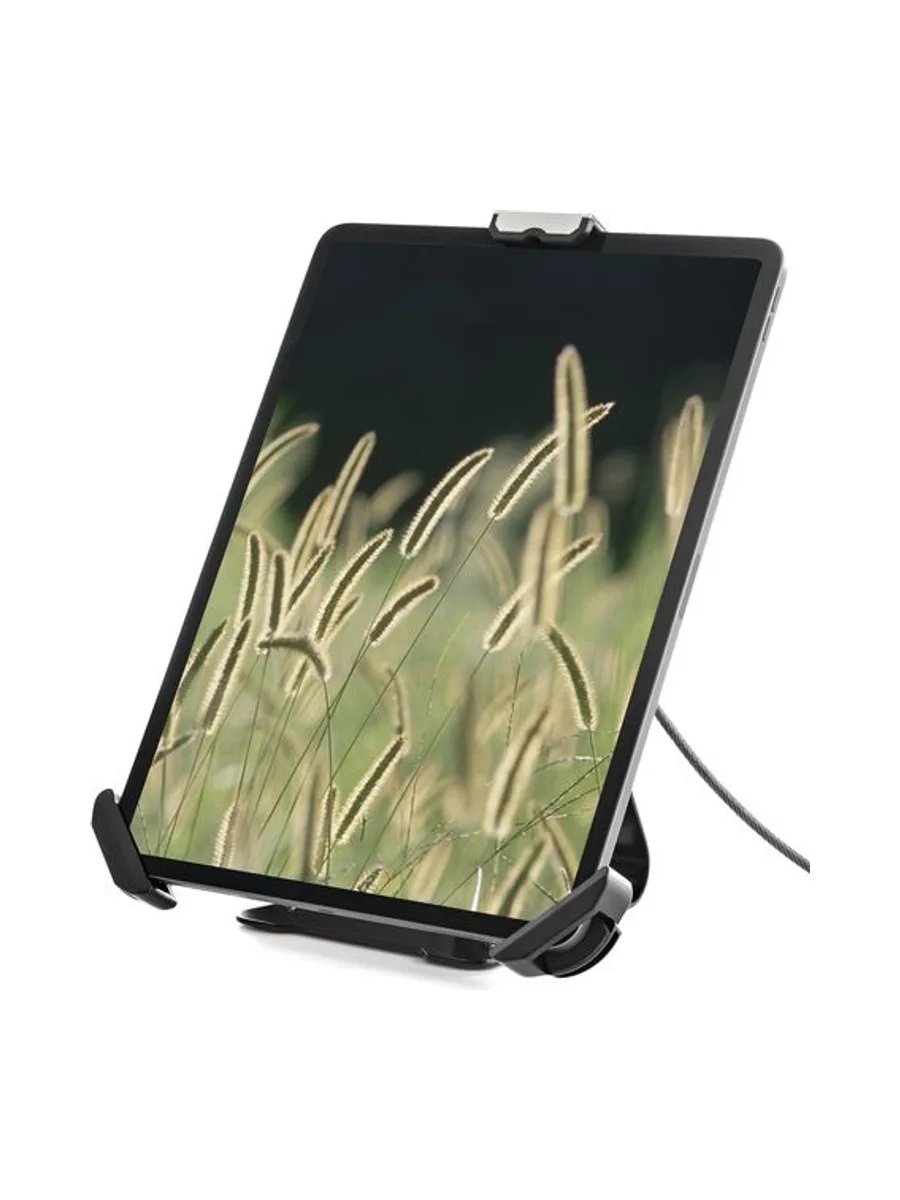Secure Articulating Tablet Mount 11