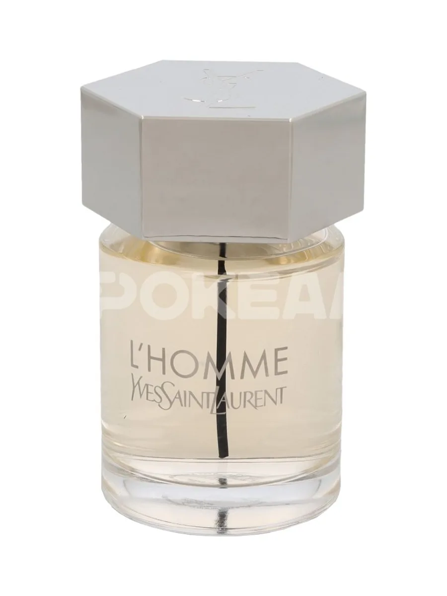 YSL L'Homme Edt Spray 100ml 2