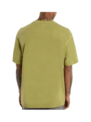 T-shirt Vert Homme Dickies Plentywood 2