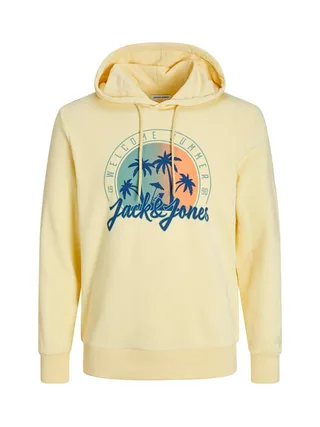 Sweat-shirt JACK & JONES 12249267 4