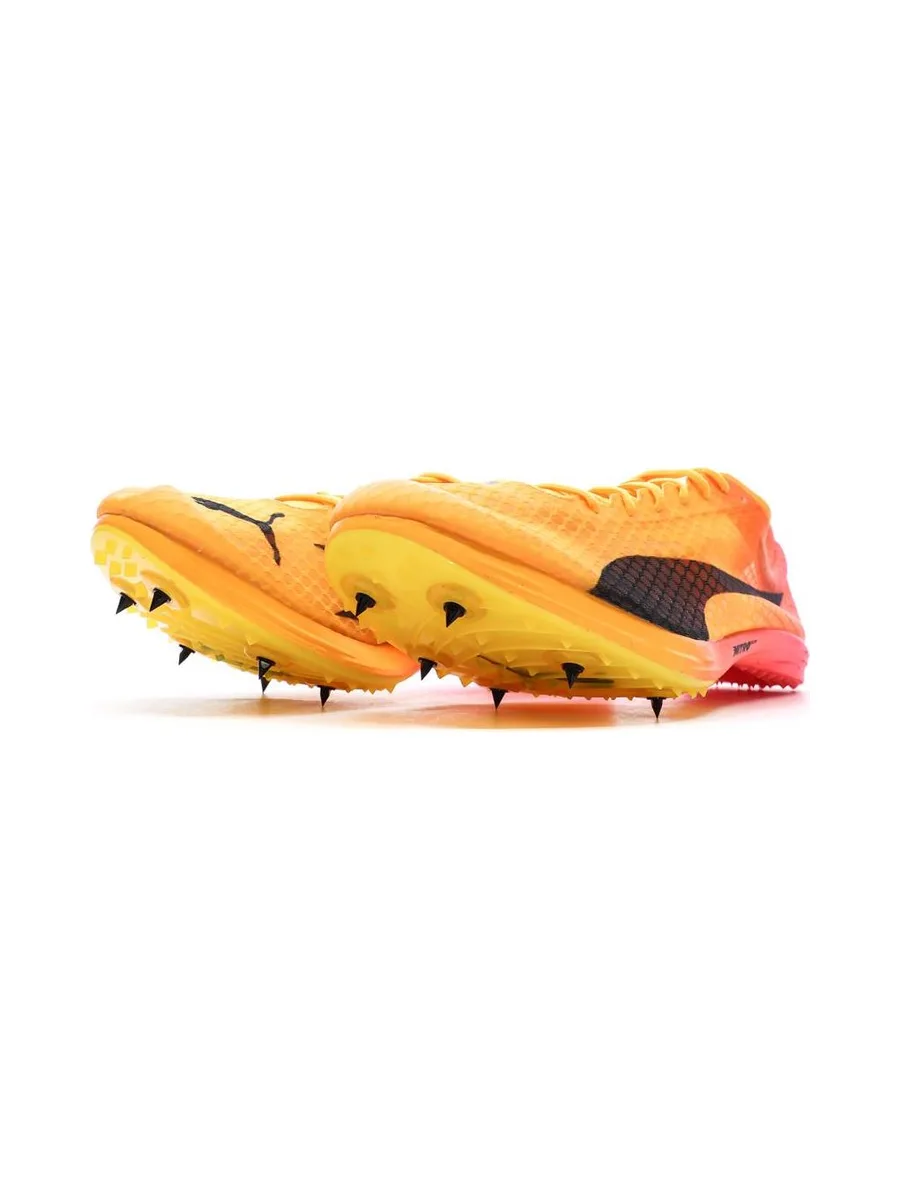 Chaussures d'athlétismes Orange Homme Puma Evospeed Distance Nitro Elite 6