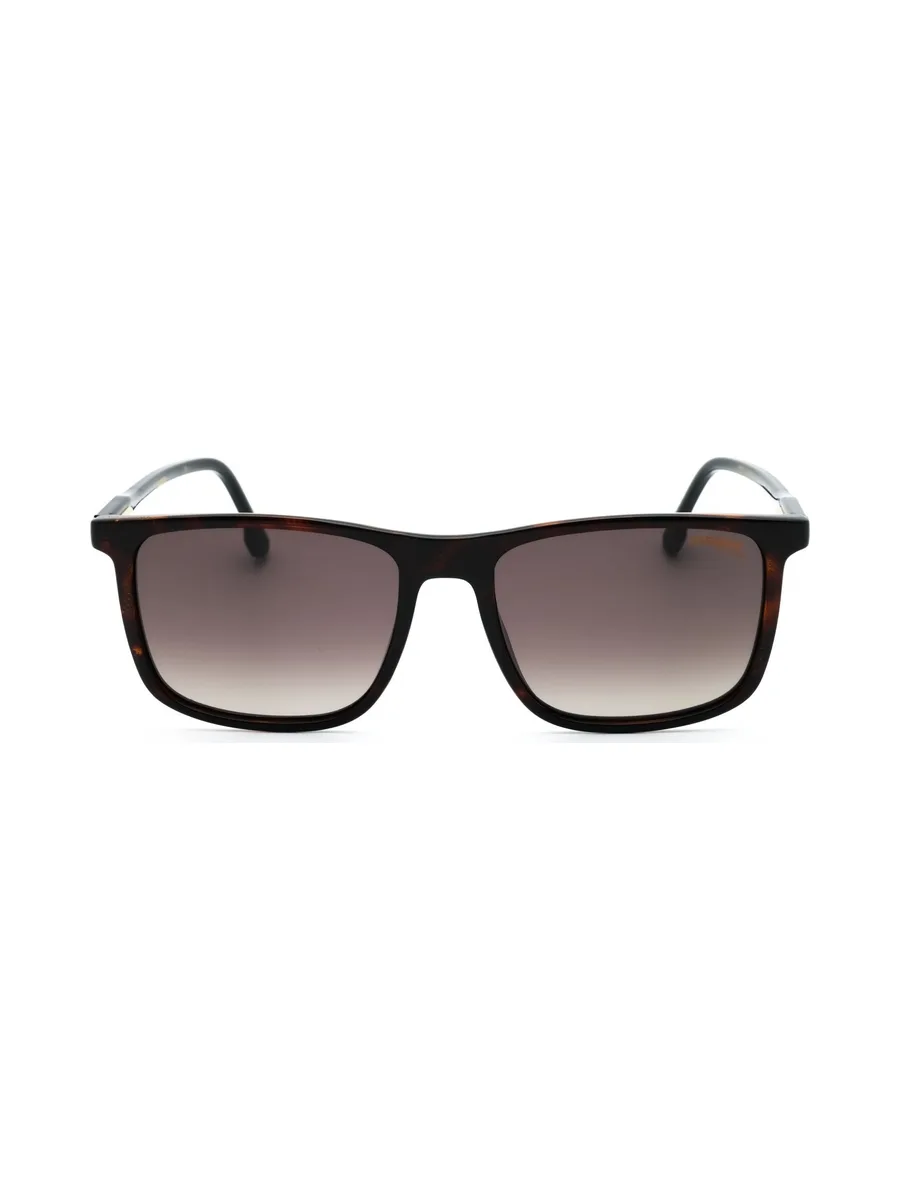 Carrera 231/S — Lunettes de soleil 6