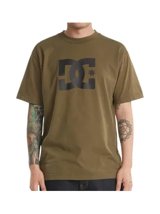 T-Shirt Kaki Homme Dc shoes Star 1