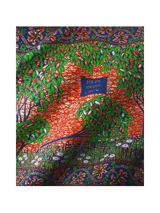 Vlisco Wax Hollandais 3