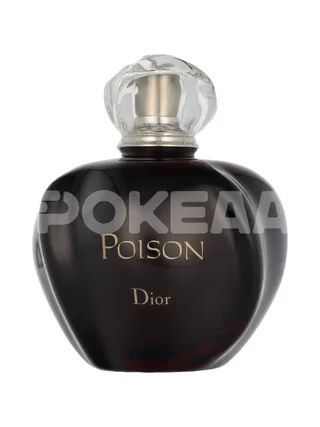 Dior Poison Edt Spray 100ml 2