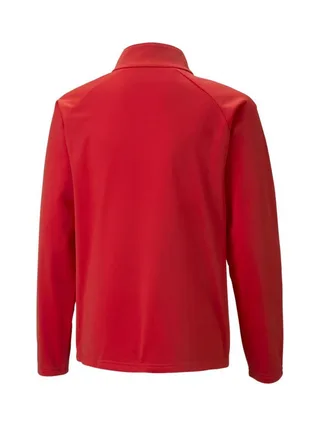 Sweat de Sport Rouge Garçon Puma Teamliga Graphic 2