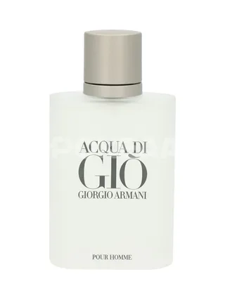 Armani Acqua Di Gio Pour Homme Edt Spray 100ml 2