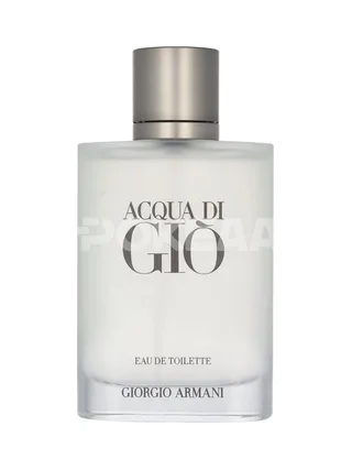 Armani Acqua Di Gio Pour Homme Edt Spray Refillable 100ml 2