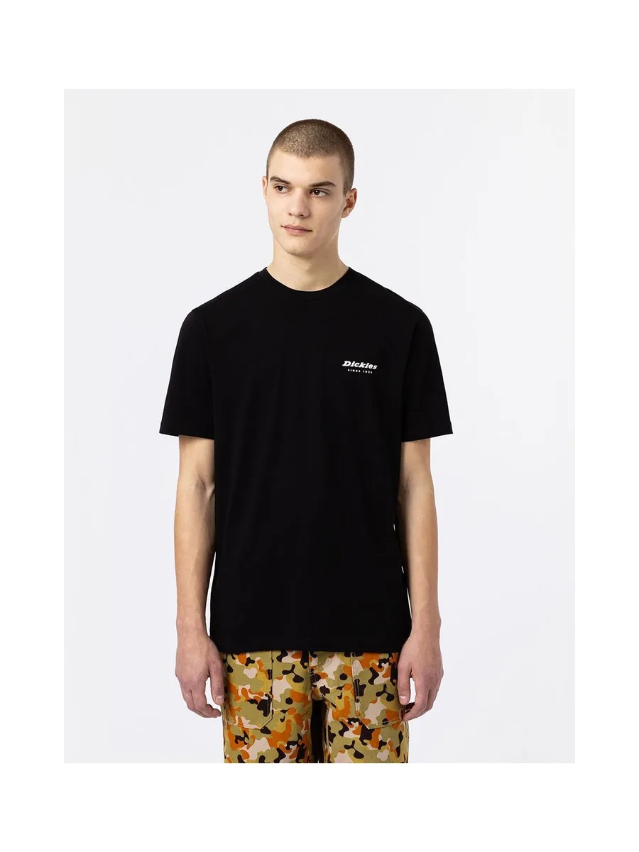 T-shirt DICKIES DK0A4XNY 15